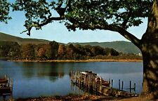 Boat landings derwentwater for sale  LONDON