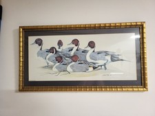 magnificent waterfowl for sale  USA