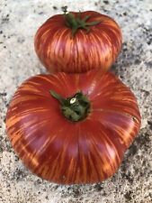 Vintage wine tomato for sale  Deltona