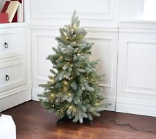 Twinkling frosted slim for sale  Canton