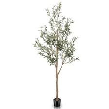6ft artificial olive for sale  Ashford
