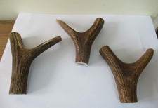 Red deer stag for sale  PETERBOROUGH