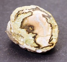 Mineral kristall geode gebraucht kaufen  Suhl