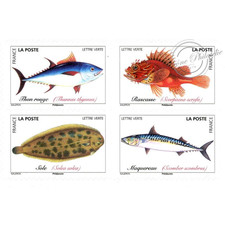 Carnet bc1683 poissons d'occasion  Brignais