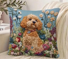 Super soft cockapoo for sale  HALESOWEN