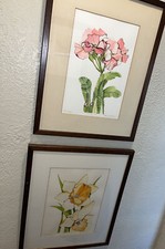 Vintage original watercolors for sale  Springfield