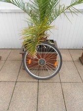 Hinterrad zoll 7fach gebraucht kaufen  Würselen