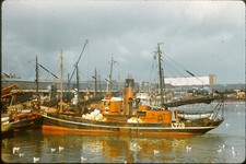 BARCO DE PESCA ESCORREGADOR FOTOGRÁFICO ORIGINAL DOS ANOS 1950 NAVIO ARRASTÃO LT.20 comprar usado  Enviando para Brazil