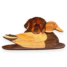 Labrador dog duck for sale  Nampa