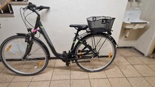 Damenfahrrad pegasus avanti gebraucht kaufen  München