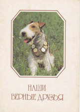 Fox terrier postkarte gebraucht kaufen  Parkstein