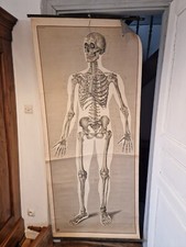 Rare affiche toile d'occasion  Cannes