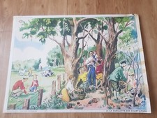 Affiche scolaire cueillette d'occasion  Yvetot