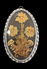 Vintage pressed dried for sale Vintage pressed dried for sale  Phillipsburg