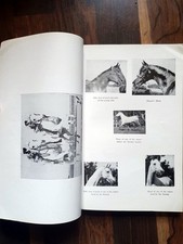 1948 history the gebraucht kaufen  Duisburg