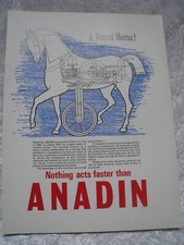 Anadin petrol horse for sale  BRISTOL