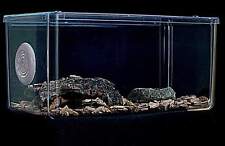 Tarantula tank vivarium for sale  LOWESTOFT