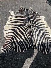 Large zebra cow for sale  MACCLESFIELD