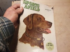 Rivista caccia pesca usato Rivista caccia pesca usato  Poggio a Caiano