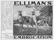 Elliman embrocation greyhounds for sale  GLASGOW