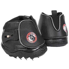 equine fusion gebraucht kaufen equine fusion gebraucht kaufen Schwetzingen