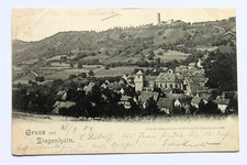 Gruss ziegenhain panorama gebraucht kaufen  Radebeul