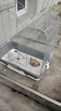 Grosser vogelkäfig zuverkaufe gebraucht kaufen  Deutschland