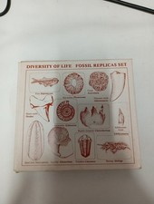 Diversity life fossil for sale  GREAT YARMOUTH