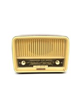 Radio vintage telefunken usato  Roncofreddo