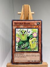 Feijão Naturia - DREV-EN028 - LP - YuGiOh comprar usado  Enviando para Brazil