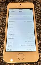 Apple iPhone 5s 16GB Dourado Branco (Credo) A1453 Frete Rápido Bom Usado IOS 8.1 Raro comprar usado  Enviando para Brazil