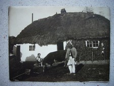 136 portrait foto gebraucht kaufen  Deutschland