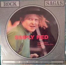 dischi vinile simply red usato  Roseto Degli Abruzzi