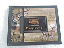 White tail deer for sale  Aurora