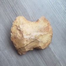Native american head for sale  Charlotte