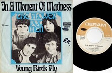 The flower pot gebraucht kaufen  Aurich