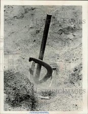 1965 press photo for sale  Memphis