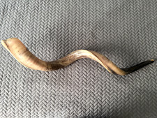 Xxl kudu yemenite for sale  Chatham