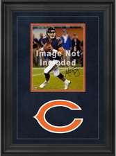 Chicago bears deluxe for sale  Fort Lauderdale