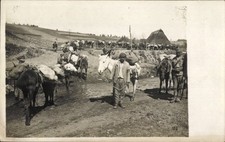 Foto balkan zigeuner gebraucht kaufen  Berlin