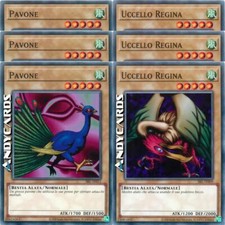Pavone uccello regina usato  Ravenna