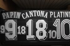 Flocage platini papin d'occasion  Vierzon