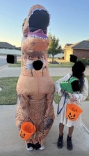 Rubies jurassic inflatable for sale  Edmond