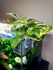 Aquarium pflanzenkorb zum gebraucht kaufen  Berlin