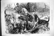 Antique print 1883 for sale  UK