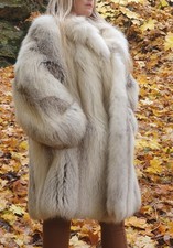 Neu goldfuchs golden gebraucht kaufen Neu goldfuchs golden gebraucht kaufen  Zusmarshausen