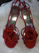 Metaphor red rose for sale  De Pere