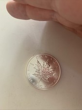 2013 maple leaf for sale  READING