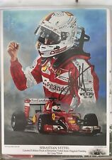 Autogramm sebastian vettel gebraucht kaufen  Simbach