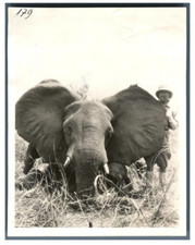 République centrafricaine geo d'occasion République centrafricaine geo d'occasion  Paris IX